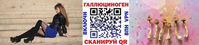 Галлюциногенные грибы Psilocybine cubensis Пустошка