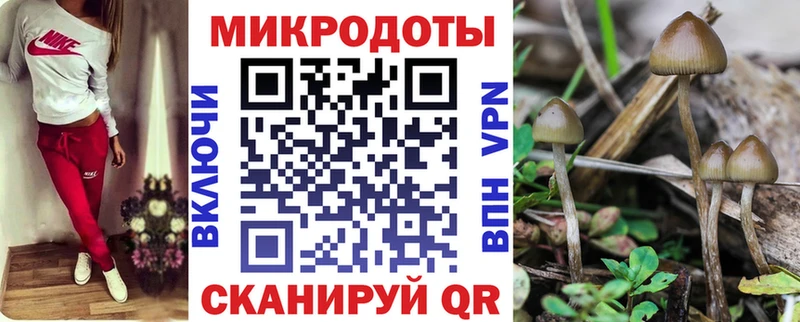 где купить наркотик Пустошка Галлюциногенные грибы прущие грибы
